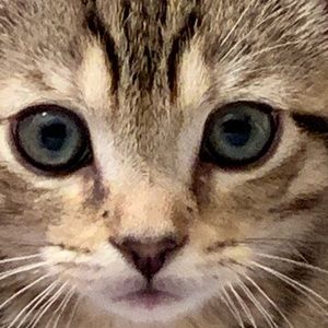 Meet your Posher, Keli